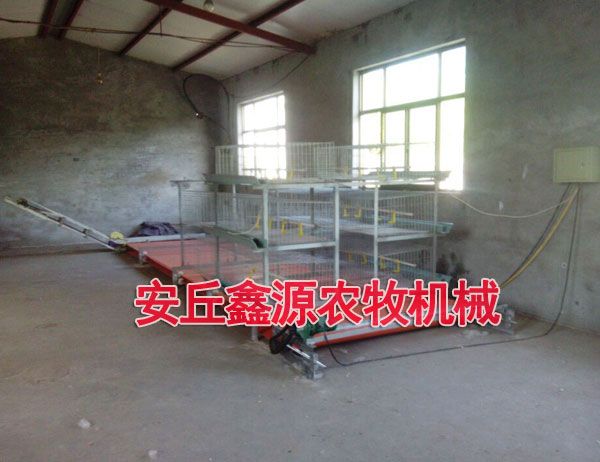 單層雞糞專(zhuān)用傳送帶樣板室