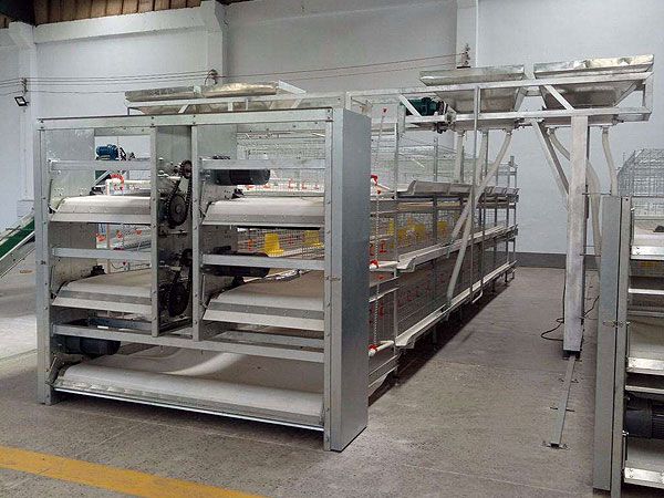 全自動籠養(yǎng)肉雞設備