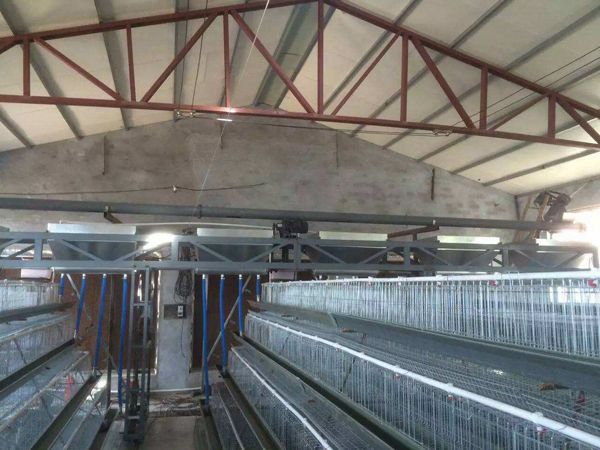 自動(dòng)喂料機(jī)